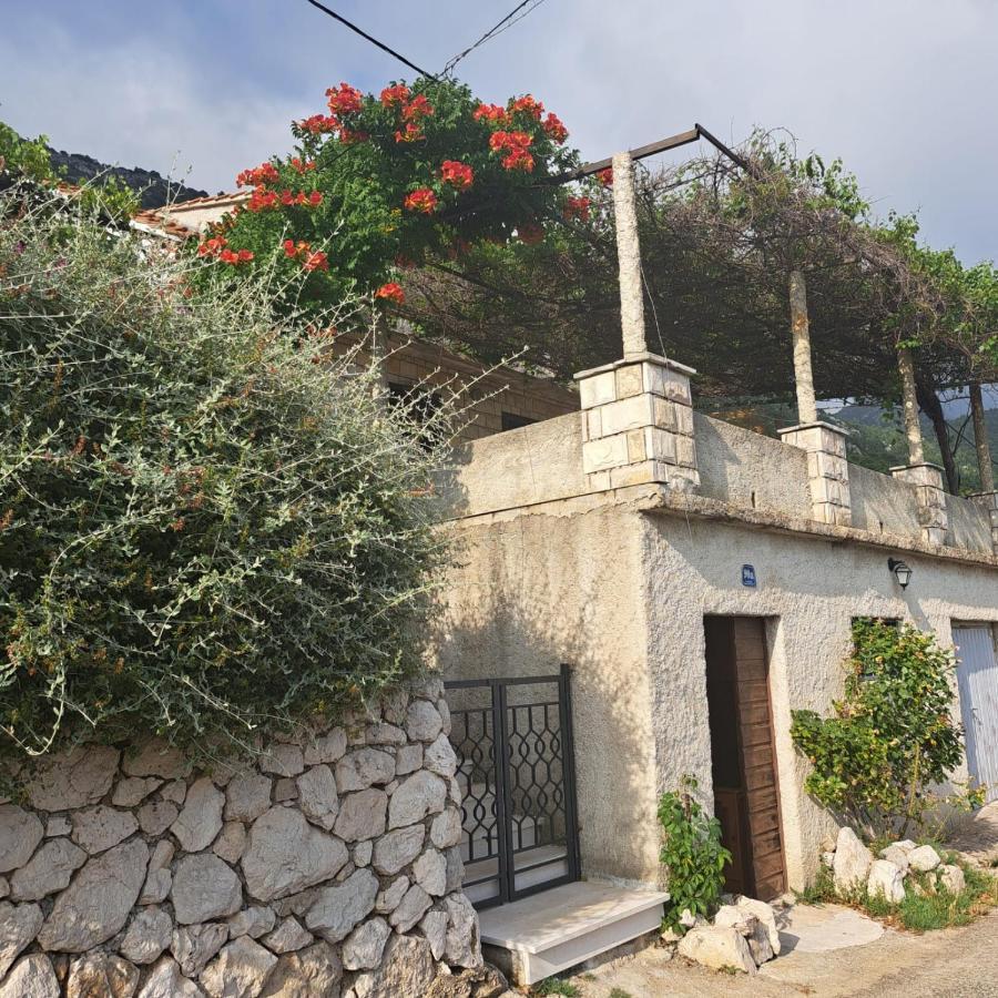 Guest House Tanja Babino Polje Exterior photo